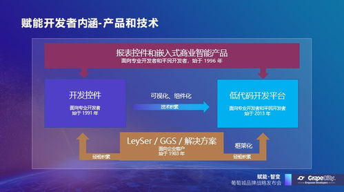 葡萄城發布新使命 賦能開發者，驅動業務創新